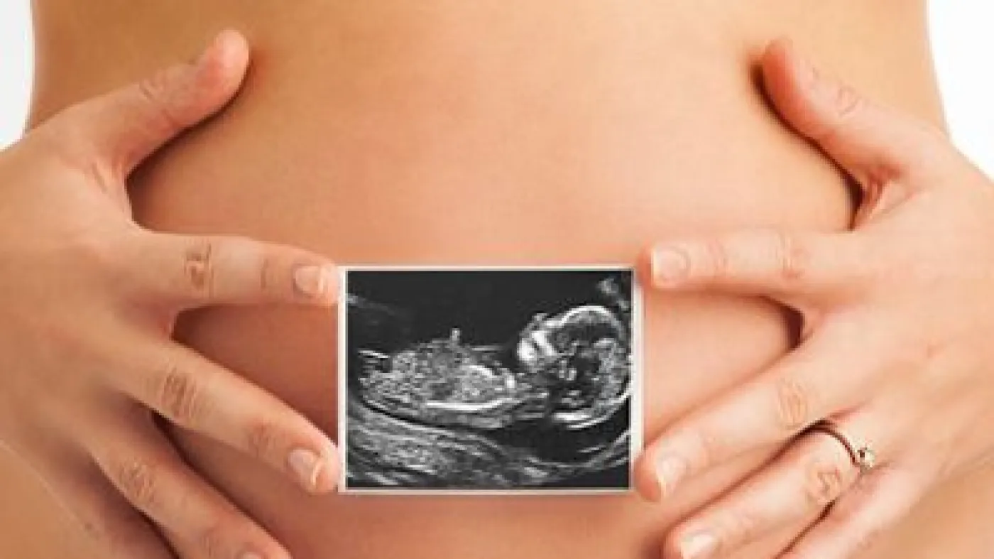 31-3e-echographie-ce-qu-elle-revele